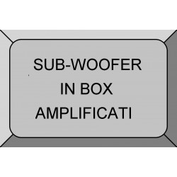 SUB_WOOFER IN BOX AMPLIFICATI (5)